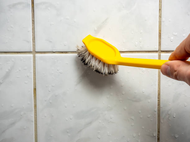 Best Post-Remediation Services in Bridge City, TX
