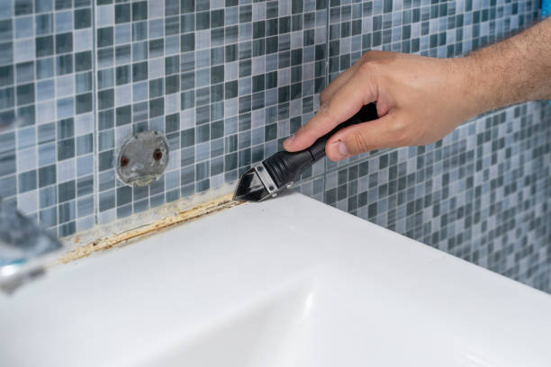 Best Insurance-Related Mold Remediation in Bridge City, TX