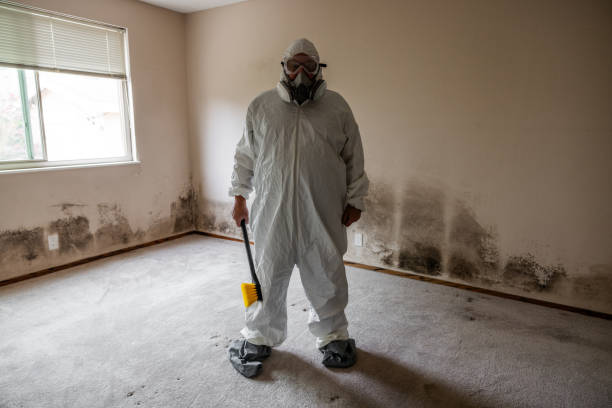 Best Crawl Space Mold Remediation in Bridge City, TX